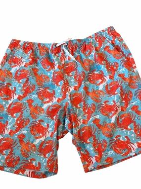 APTRO Men’s Tropical Lobster Hawaiian Print Swim Trunks 3 XL Shorts  3 Pockets